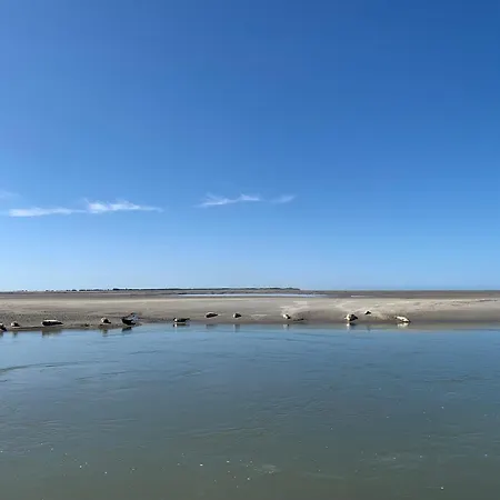 Holiday home Albatros House